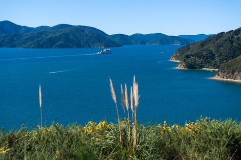 Photo of property in 318 Port Underwood Road, Whatamango Bay, Picton, 7281