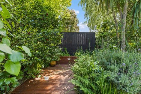 Photo of property in 24 Myrtle Street, Hamilton East, Hamilton, 3216