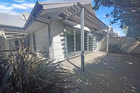 Photo of property in 11c Clarence Street South, Addington, Christchurch, 8024