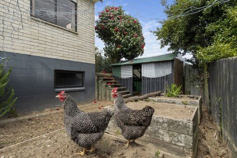 Photo of property in 40b Manson Street, Gate Pa, Tauranga, 3112
