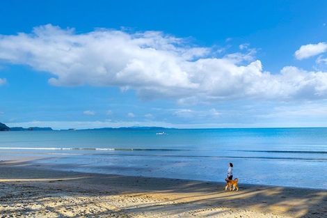 Photo of property in 236 Hibiscus Coast Highway, Orewa, 0931