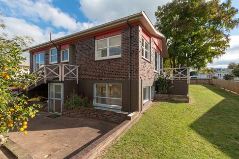 Photo of property in 137 Young Street, Te Awamutu, 3800