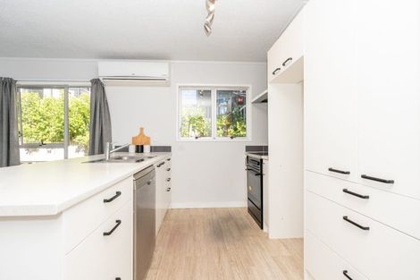 Photo of property in 48b Cook Street, Hamilton East, Hamilton, 3216