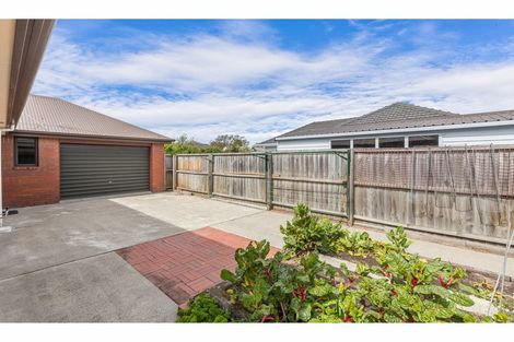 Photo of property in 19 Studholme Street, Somerfield, Christchurch, 8024