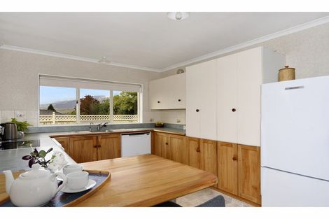 Photo of property in 3 Lorimer Lane, Richmond, 7020