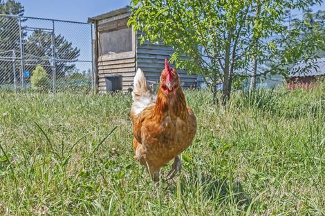 Photo of property in 357 Tramway Road, Leeston, 7682