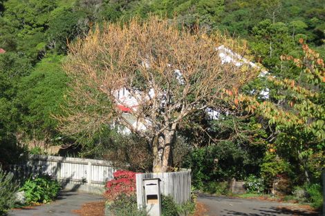 Photo of property in 8x Tawa Street, Eastbourne, Lower Hutt, 5013