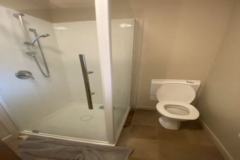 Photo of property in 56 Pine Avenue, Melville, Hamilton, 3206