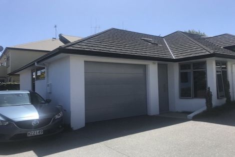 Photo of property in 17u1 Manning Street, Hamilton Central, Hamilton, 3204