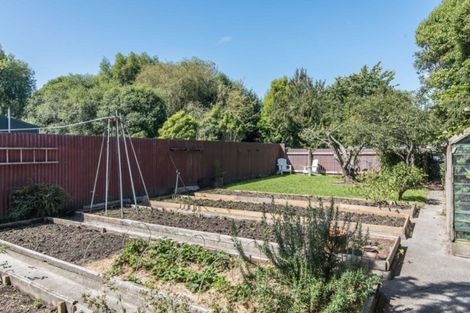 Photo of property in 53 Puriri Road, Waikanae, 5036