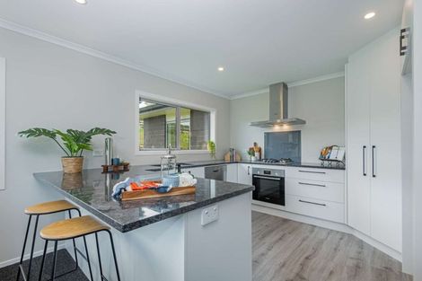 Photo of property in 13 Ingham Street, Halcombe, 4779