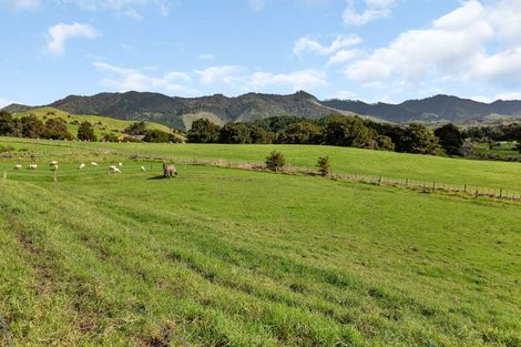 Photo of property in 1488 Kirikopuni Road, Tangiteroria, 0381