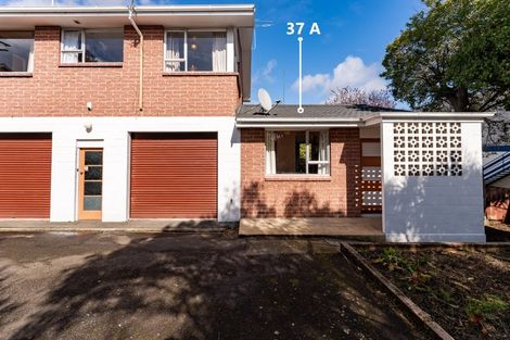 Photo of property in 37 Wales Street, Maori Hill, Dunedin, 9010