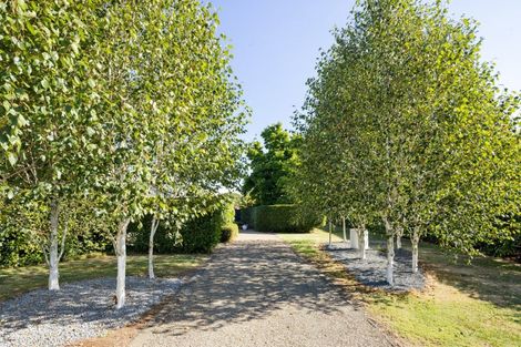 Photo of property in 1242 Kaipaki Road, Cambridge, 3495