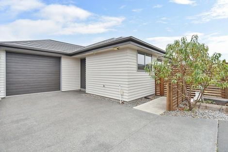 Photo of property in 6 Jacko Lane, Sydenham, Christchurch, 8023