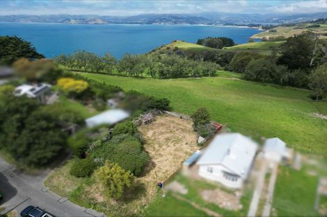Photo of property in 24 Kilgour Street, Roslyn, Dunedin, 9010