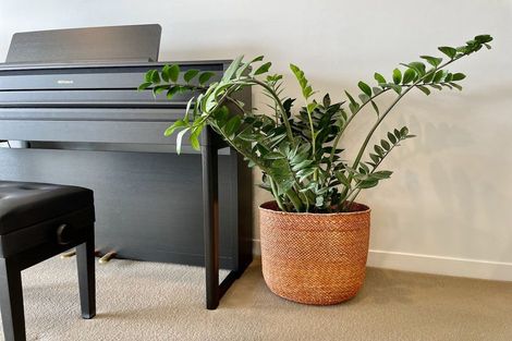 Photo of property in Republic Apartments, 6c/10 Lorne Street, Te Aro, Wellington, 6011