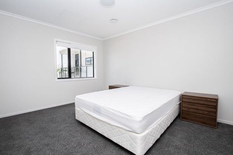 Photo of property in 204/17u Vialou Street, Hamilton Central, Hamilton, 3204