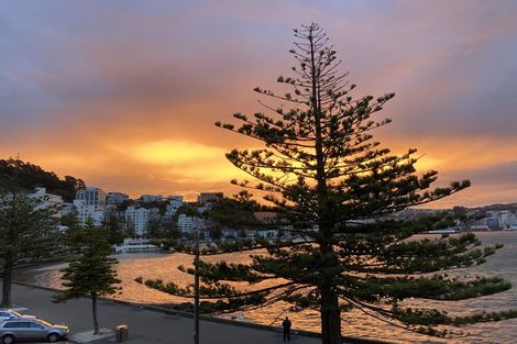 Photo of property in Inverleith Apartments, 306u3 Oriental Parade, Oriental Bay, Wellington, 6011