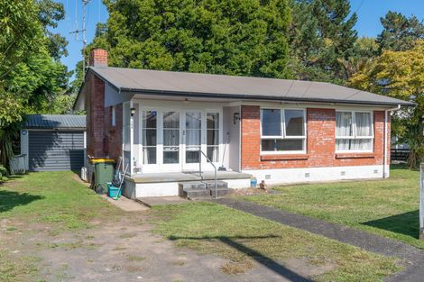 Photo of property in 105 Rimu Street, Maeroa, Hamilton, 3200