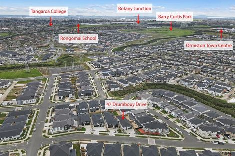 Photo of property in 47 Drumbuoy Drive, Flat Bush, Auckland, 2019