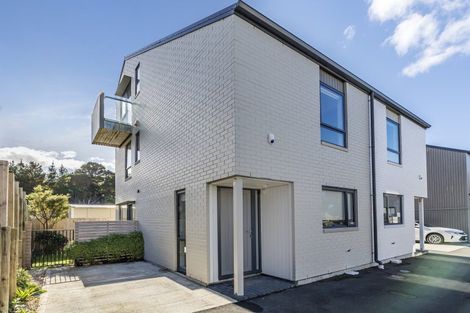 Photo of property in 124u8 Britomart Street, Berhampore, Wellington, 6023
