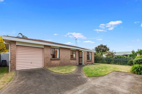 Photo of property in 207b Ngatai Road, Otumoetai, Tauranga, 3110