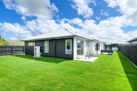 Photo of property in 84 Arnott Street, Feilding, 4702