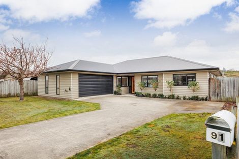 Photo of property in 91 Fraser Drive, Feilding, 4702