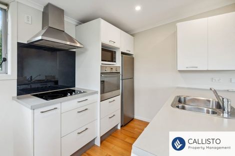 Photo of property in 66a Maclaggan Street, Dunedin Central, Dunedin, 9016
