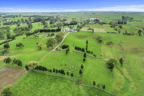 Photo of property in 800 Tuhikaramea Road, Ngahinapouri, Hamilton, 3290