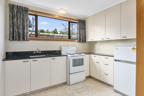 Photo of property in 4a Northumberland Street, North East Valley, Dunedin, 9010