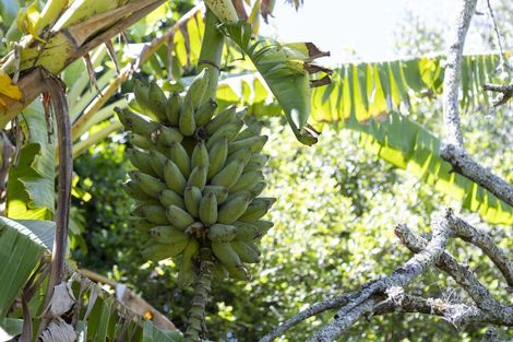 Photo of property in 810 Gill Road, Kaitaia, 0483