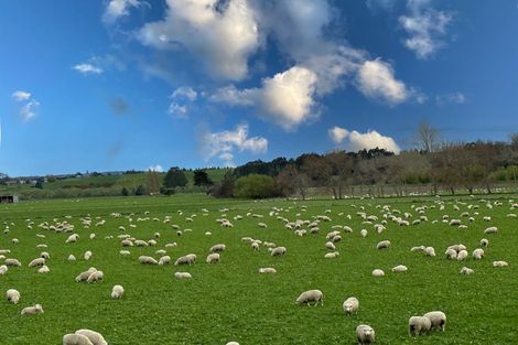 Photo of property in 47 Oopunga Road, Pukekohe, 2120