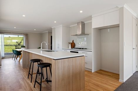 Photo of property in 19 Kakariki Lane, Rototuna North, 3210