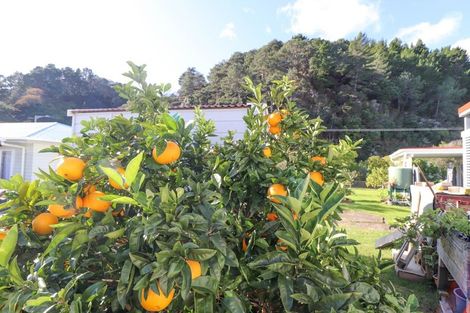 Photo of property in 101 Fergusson Drive, Thames, 3500