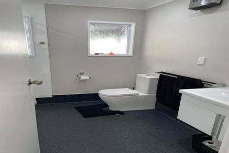 Photo of property in 13 Guy Avenue, Levin, 5510