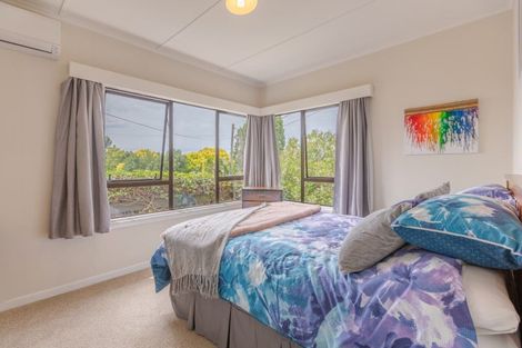 Photo of property in 134 Porangahau Road, Waipukurau, 4200