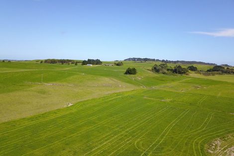 Photo of property in 110a Colville Road, Dargaville, 0371