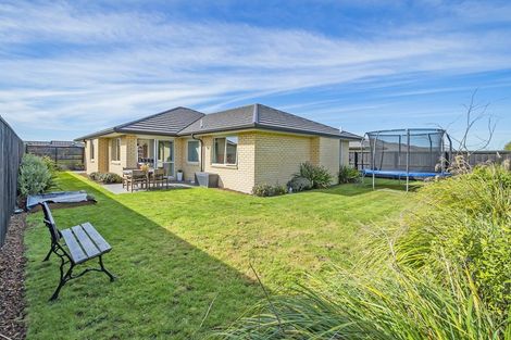 Photo of property in 17 Hardwell Way, Rolleston, 7615