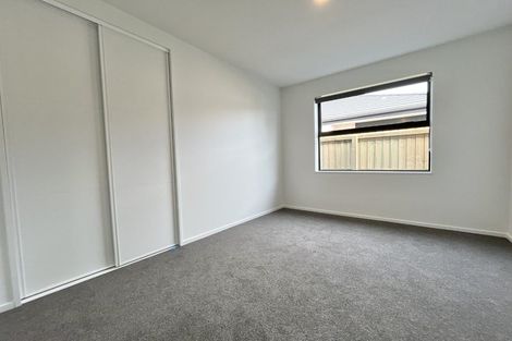 Photo of property in 29 Rita Angus Road, Belfast, 8051