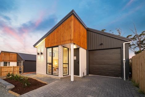 Photo of property in 45 Puhikawa Street, Massey, 0614