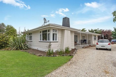 Photo of property in 49 Hall Street, Cheviot, 7310