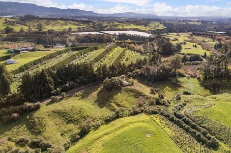 Photo of property in 137 Lund Road, Aongatete, Katikati, 3178
