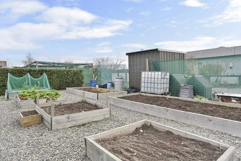 Photo of property in 295 Innes Road, Glasnevin, Amberley, 7482