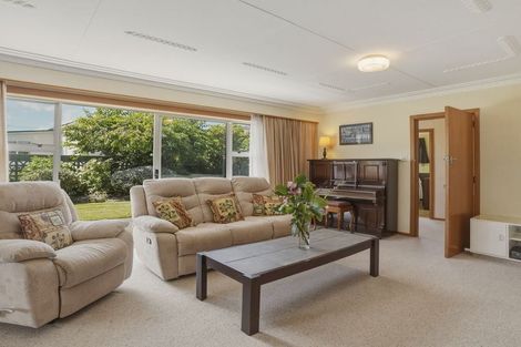 Photo of property in 14 Queen Street, Milton, 9220