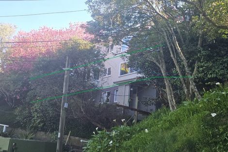 Photo of property in 64 Salamanca Road, Kelburn, Wellington, 6012