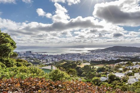 Photo of property in 39 Karepa Street, Brooklyn, Wellington, 6021