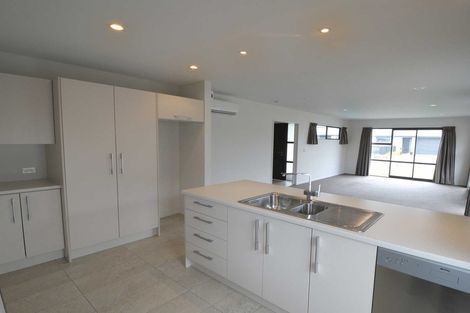 Photo of property in 145 Infinity Drive, Pegasus, 7612