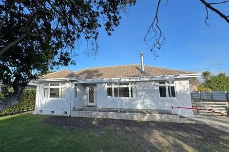 Photo of property in 209 Leo Street, Akina, Hastings, 4122